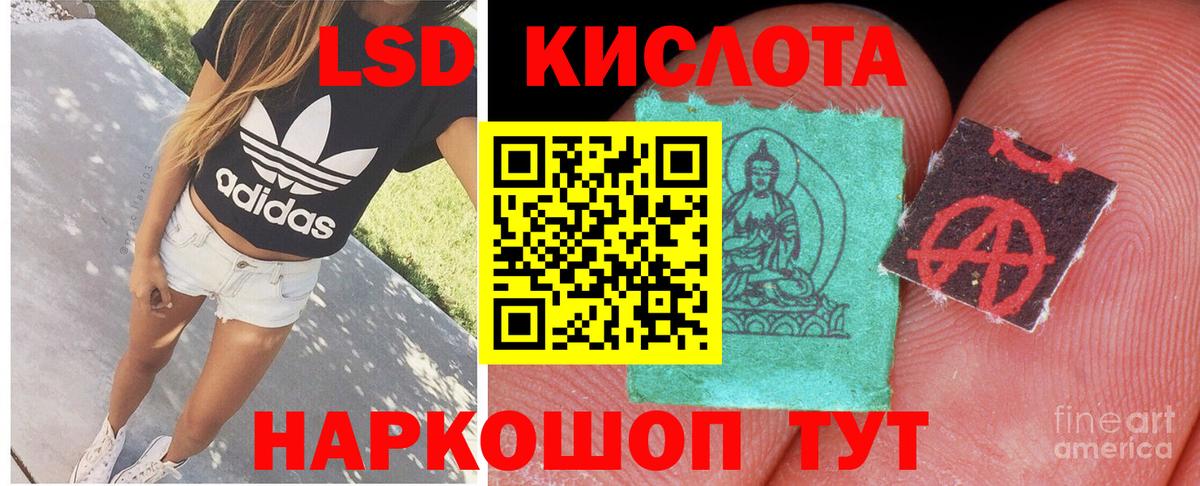 MEGA ONION  Лсд 25 экстази кислота  Вход с VPN  Железногорск  ЛСД экстази кислота  ЛСД экстази 