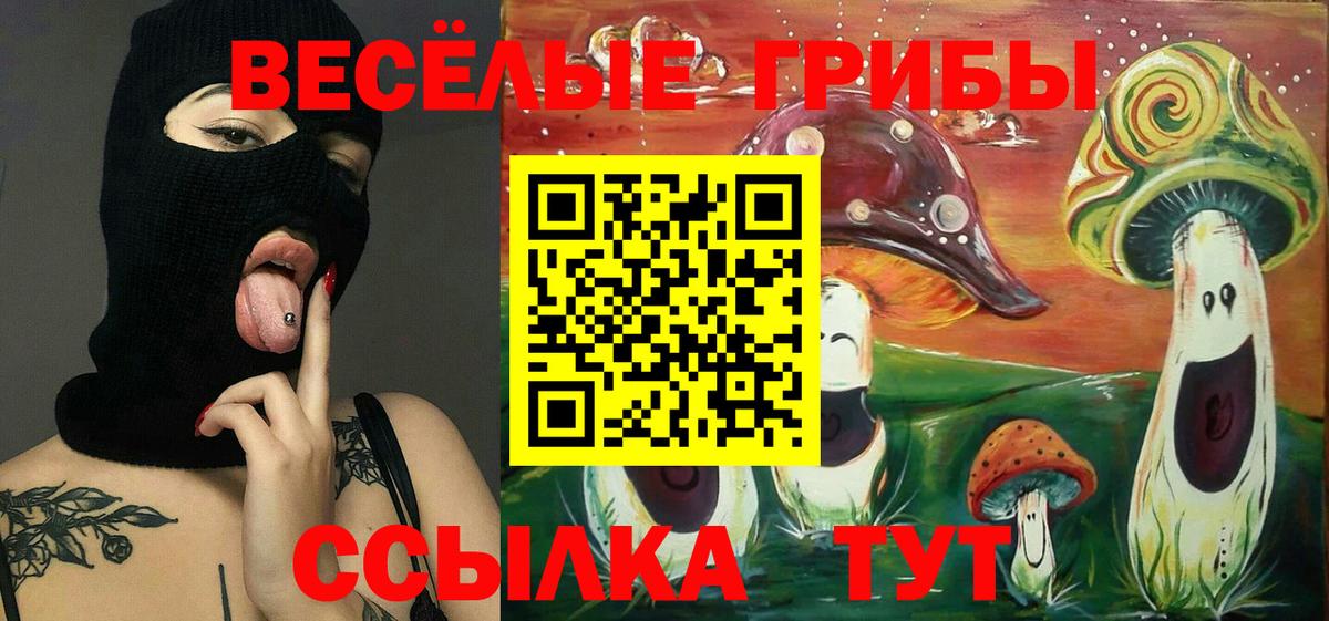 Псилоцибиновые грибы мухоморы Железногорск